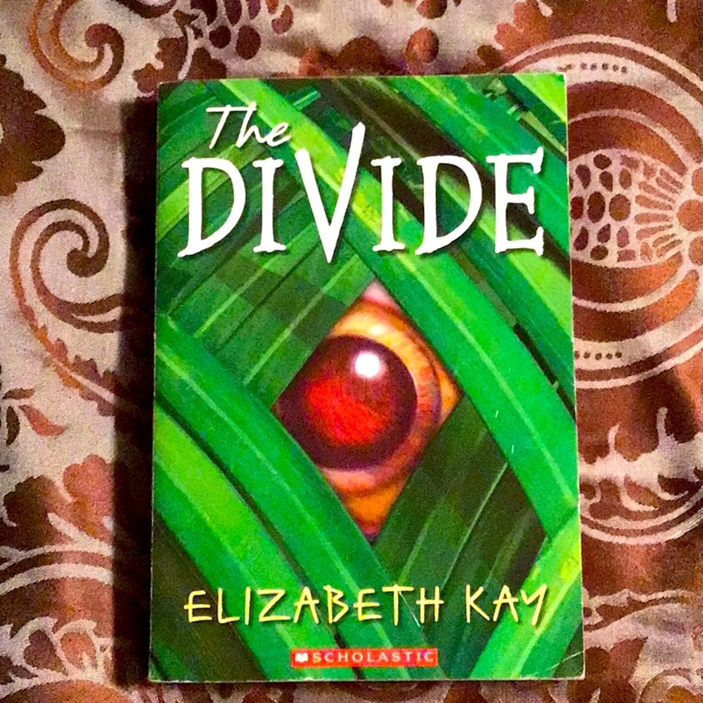 The Divide by Elizabeth Kay